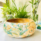 Salad Bowl With Servers Set - Lisbon Lemon