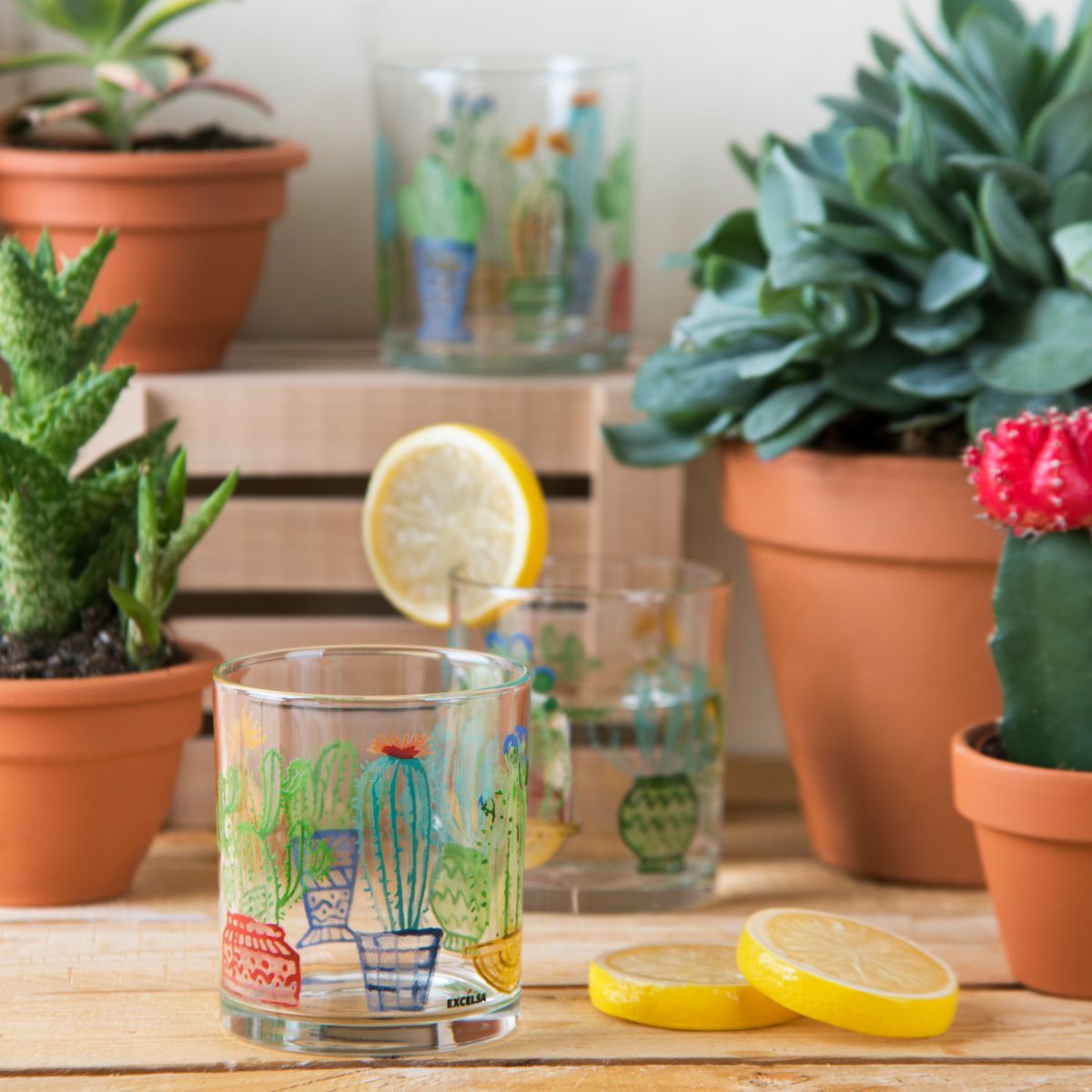 Cactus Set of 3 Drinking Glasses