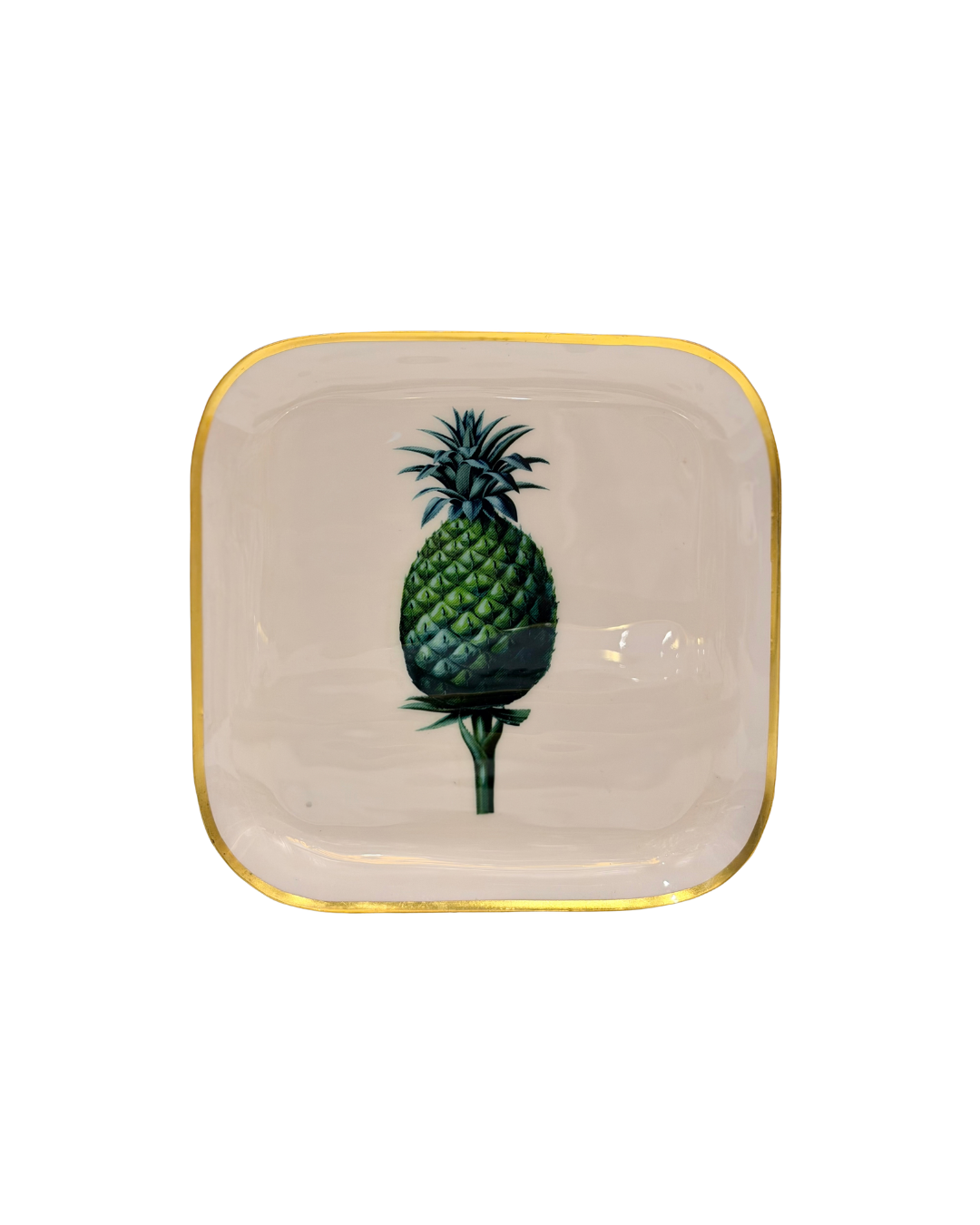 Metal Quarter Plates - Amazonia Day (Seconds)