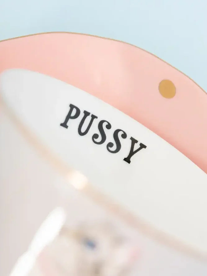 Pussy Cat Teacup and Saucer