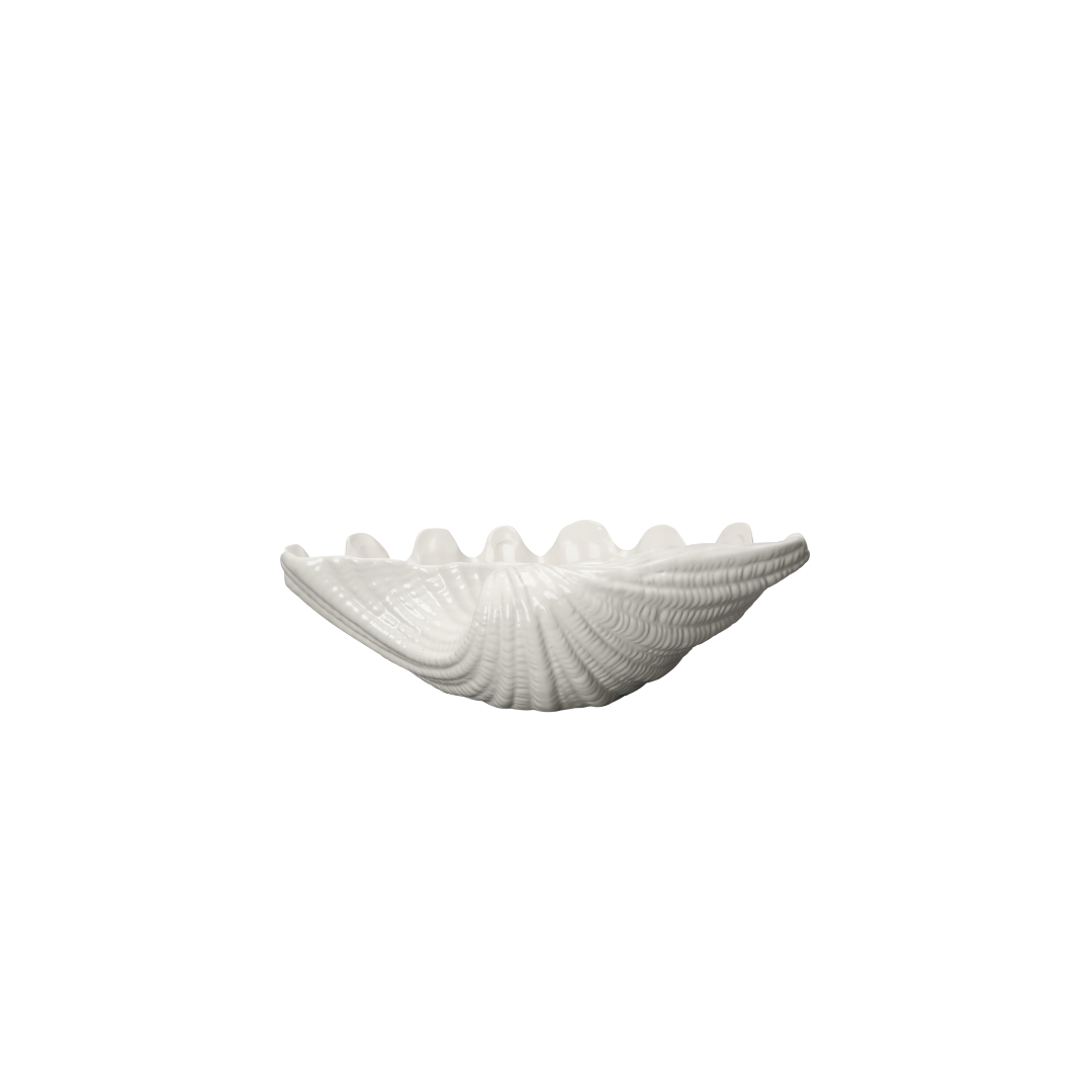 Shell Bowl