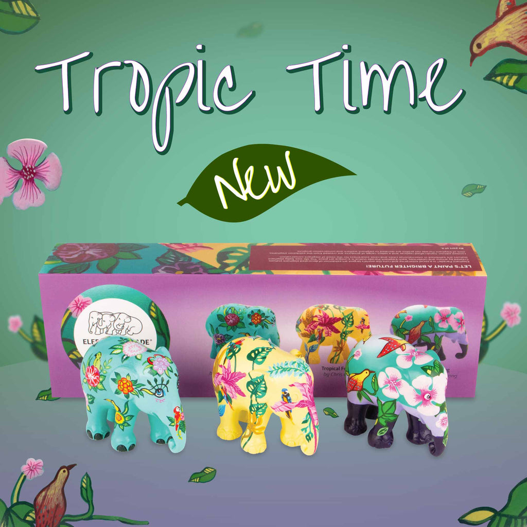 Multi Pack: Tropic Time